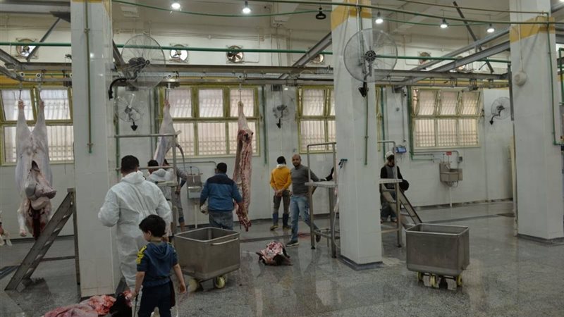 المجزر الآلي بمدينة