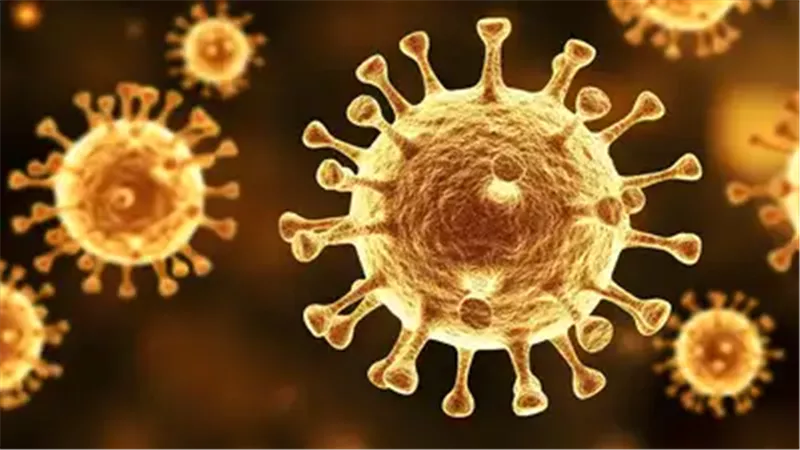 فيروس كورونا
