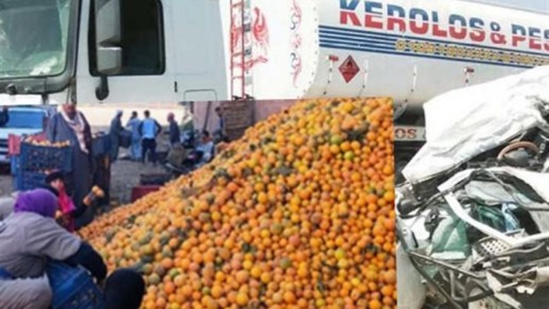 سيدات يعملن في البرتقال وحادث فتيات العنب 