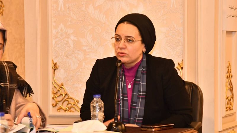 النائبة ريهام عبد