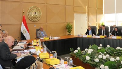 وزير الكهرباء: القطاع يشهد نقلة نوعية بفضل دعم القيادة السياسية