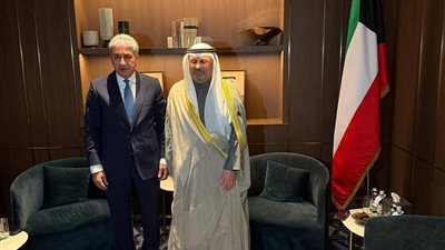 وزير السياحة يلتقي مع وزير الدولة لشئون الاتصالات وتكنولوجيا المعلومات الكويتي