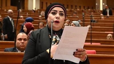 مشروع قانون لتنظيم التطبيب عن بُعد أمام البرلمان.. تفاصيل