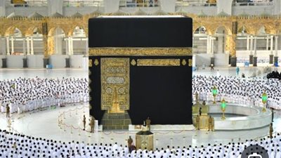 حقيقة إيقاف التعامل الإلكتروني مع شركات السياحة المصرية على منصة 