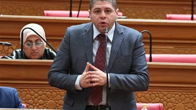 بعد إلغاء وزارة قطاع الأعمال.. طلب إحاطة يكشف عن مصير الشركات الحكومية