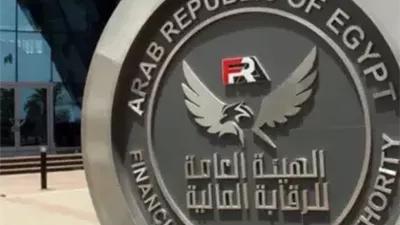 الرقابة المالية تُلزم الشركات المالية غير المصرفية بالتأمين المهني