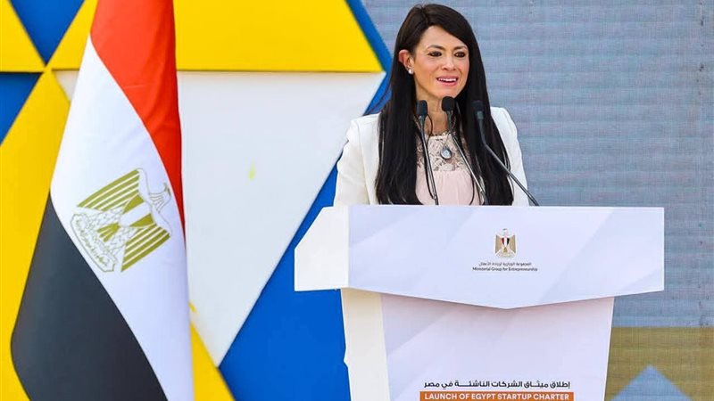 وزيرة التخطيط 