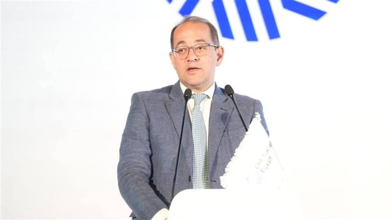 وزير المالية