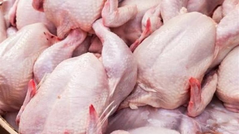 الدواجن المجمدة