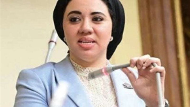 النائبة أميرة صابر
