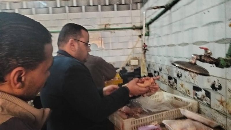 تموين المنيا 