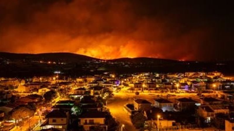 حرائق الغابات 