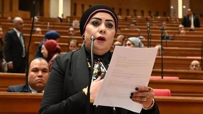 النائبة جيهان شاهين