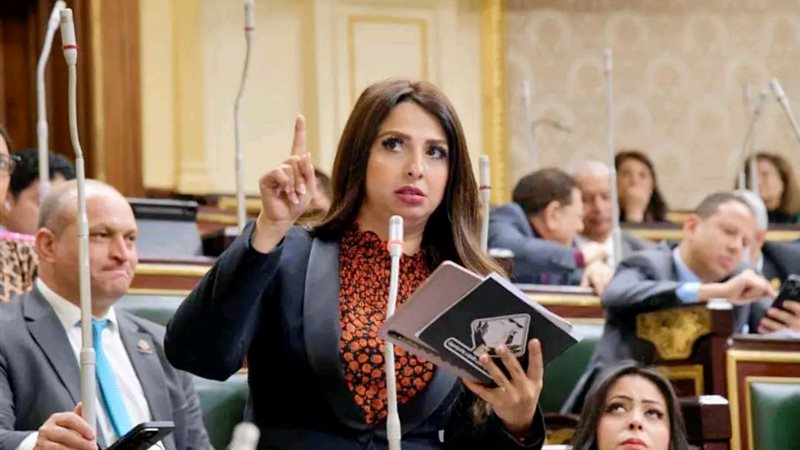 النائبة نشوي الشريف