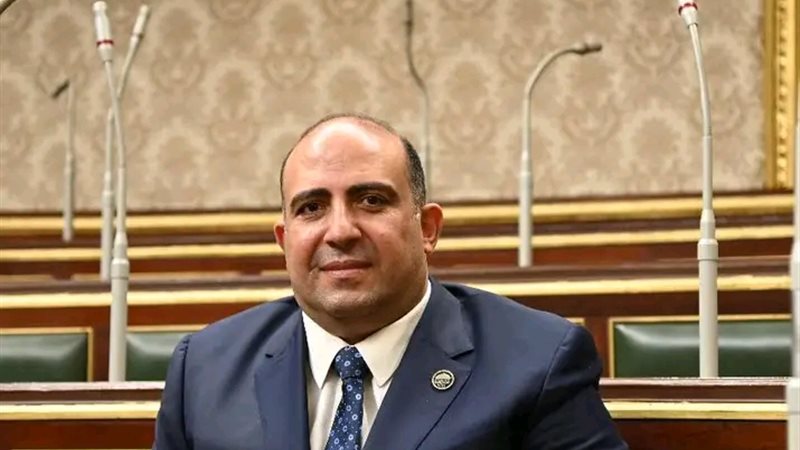 النائب محمد سليم