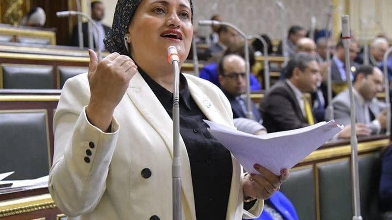 النائبة سناء السعيد