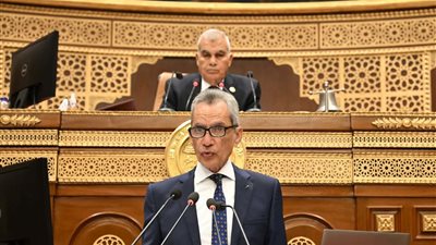 وزير المجالس النيابية يؤكد استمرار التعاون بين الحكومة ومجلس الشيوخ