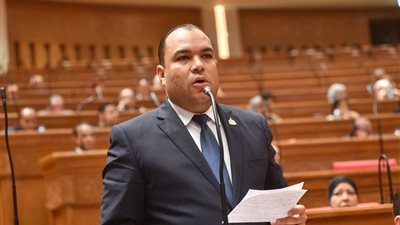 نائب التنسيقية: الاستيراد الآمن يبدأ بتعديل قانون سجل المستوردين لحماية اقتصادنا