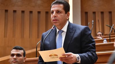 برلماني: تعديلات قانون سجل المستوردين منطقية.. والأهم حسن تطبيقها على أرض الواقع