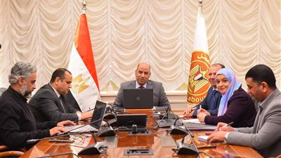 وزير العمل يؤكد: تنفيذ الاتفاقات عمليًا وتعزيز التواصل المستمر مع العمالة المصرية بالخارج