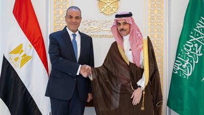 مصر ترفض أي محاولات لفرض أدوار خارجية في إدارة البحر الأحمر