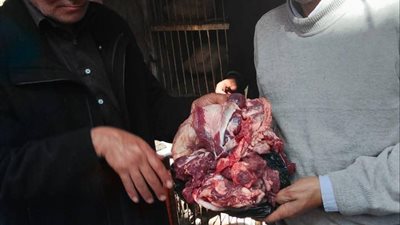 تحرير 205 مخالفات وضبط سلع مدعمة قبل تسريبها للسوق السوداء بالمنيا