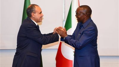 وزير الخارجية يؤكد على أهمية التعاون والتكامل في نهر النيل لتحقيق المنفعة المشتركة