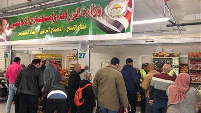 من المزرعة للمستهلك.. استراتيجية وزارة الزراعة لكسر غلاء الأسعار وتحقيق الأمن الغذائي