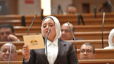 النائبة ريهام عبد النبي: الجنية المصري الأسوأ في العالم منذ بداية الأزمة