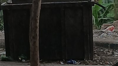 لغز جوال الأجنة في كدوان يشعل المنيا.. تحركات عاجلة للنيابة والأمن لكشف الحقيقة