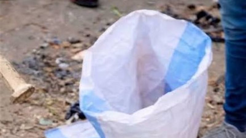 الأجنة المعثور عليها