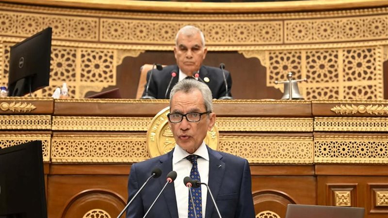 المستشار هاني حنا