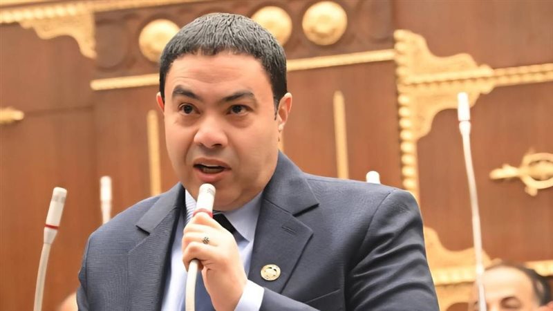 النائب إسماعيل الشرقاوي