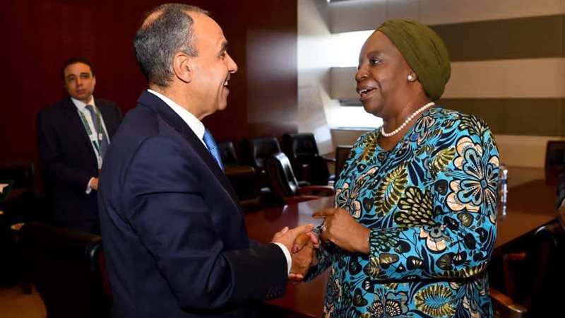 وزير الخارجية 