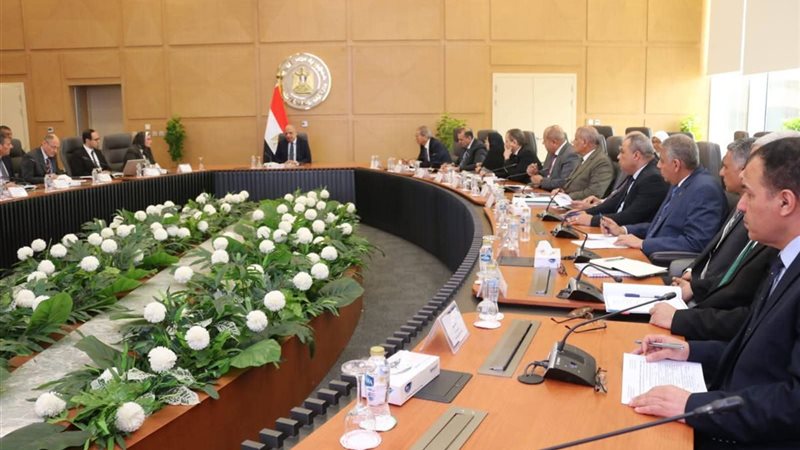 وزير الكهرباء