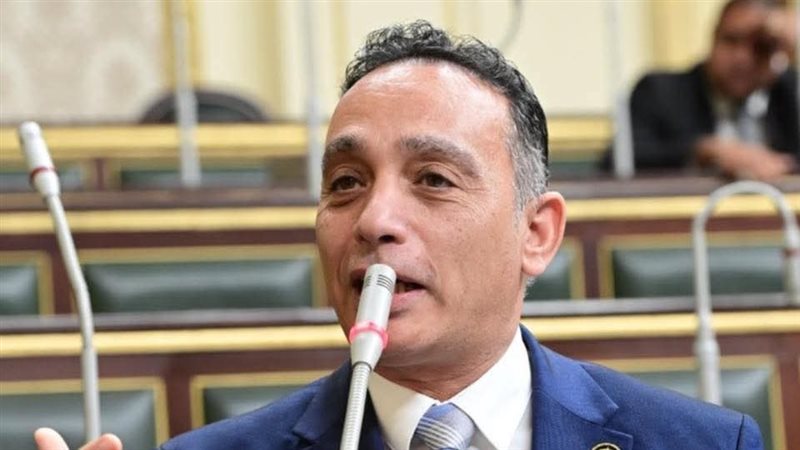 النائب فريدي البياضي