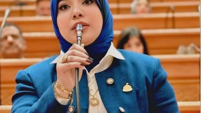 النائبة دينا الهلالي