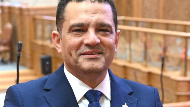 النائب أمير الجزار