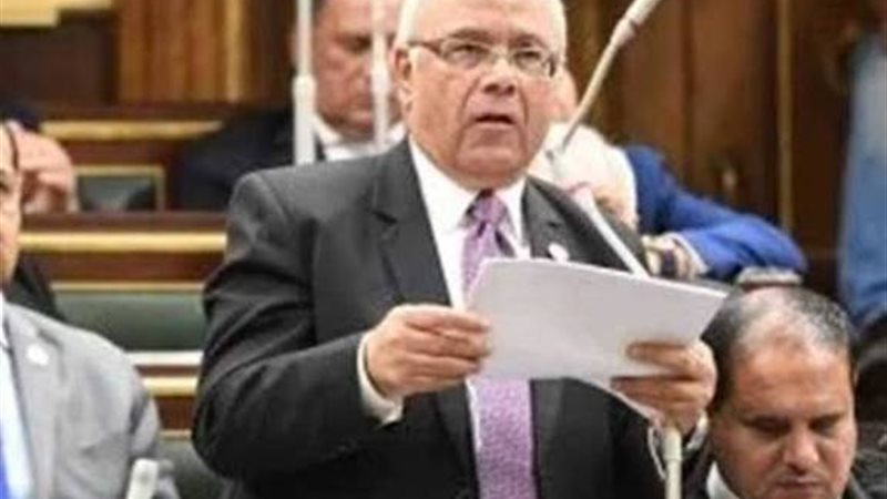 النائب محمد الفيومي،