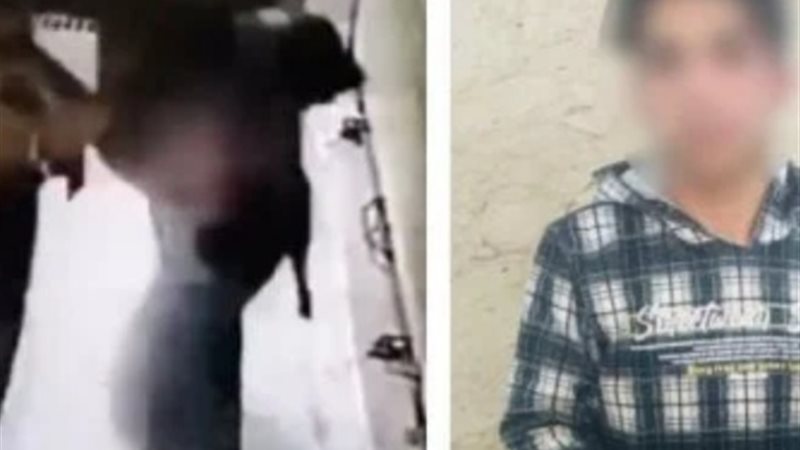 فتاة القليوبية 