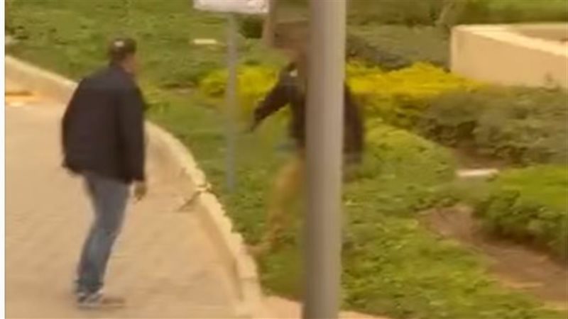 صورة من الفيديو 