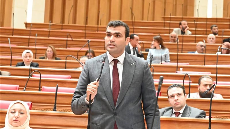 النائب حسين الهريدي عضو مجلس النواب 