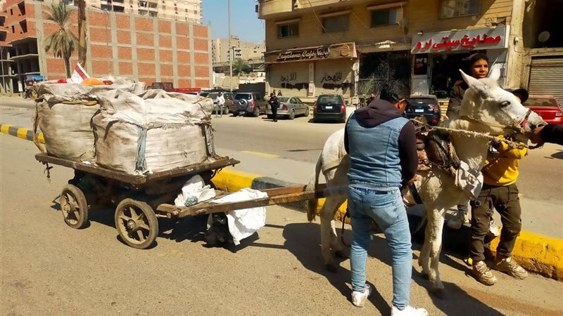 الجيزة تشن حملات