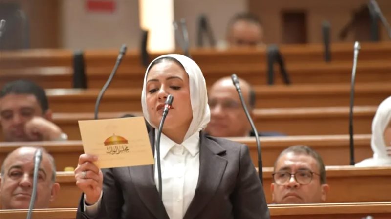 النائبة ريهام عبد