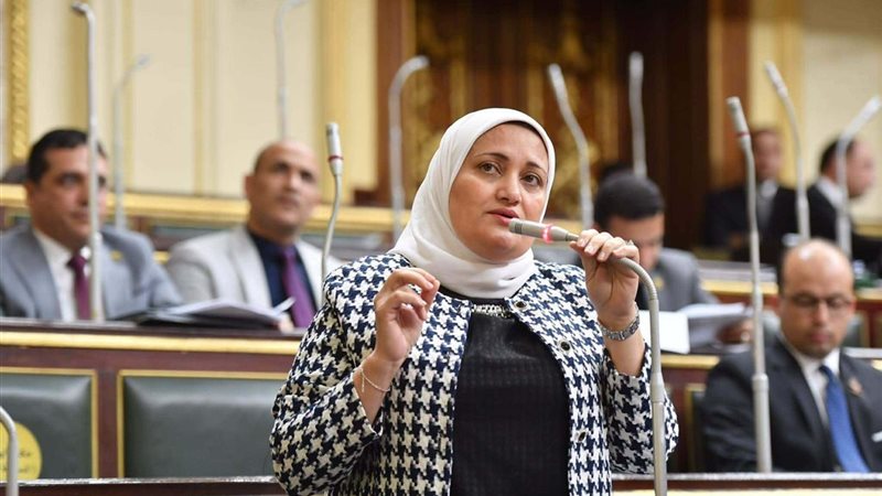 النائبة سناء السعيد،