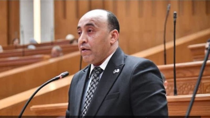 النائب حسام الخشت، عضو مجلس النواب 