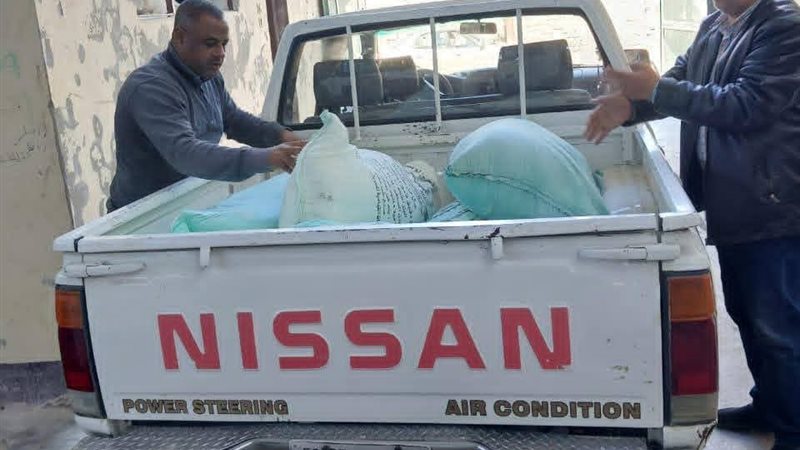 تموين المنيا 