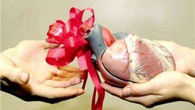 القانون المصري ينظم التبرع بالأعضاء.. 12 شرطًا وضوابط صارمة