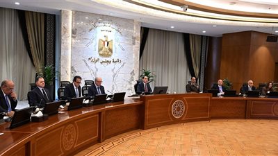 منها مشروع قانون مكتبة الأزهر.. تعرف على قرارات الحكومة اليوم الأربعاء 