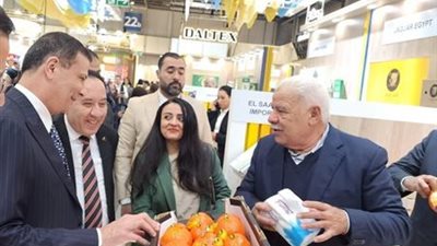 غزو برلين.. استراتيجية 